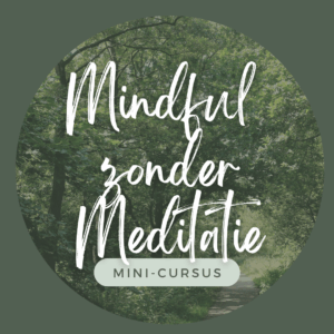 Mindful zonder Meditatie