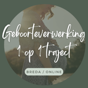 Geboorteverwerking