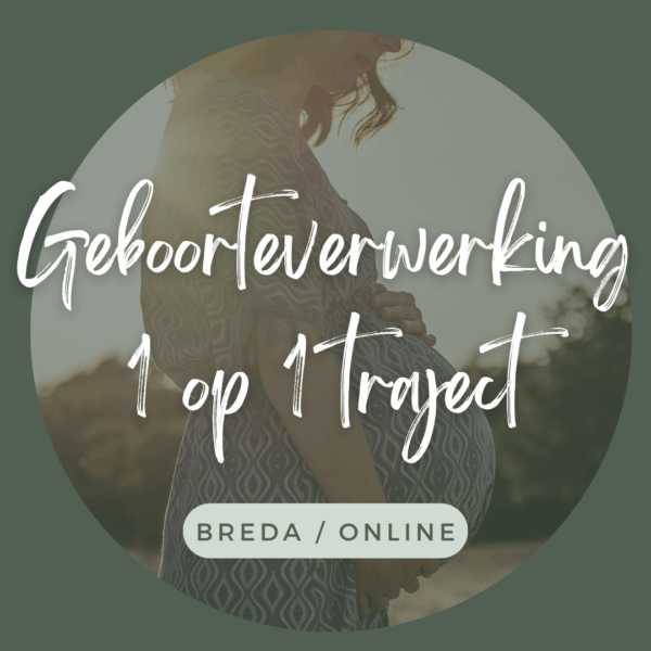 Geboorteverwerking